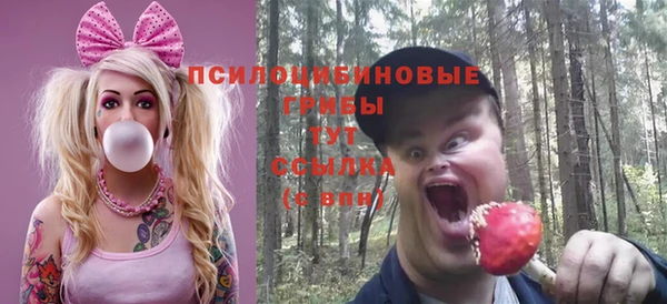 гашик Красноперекопск