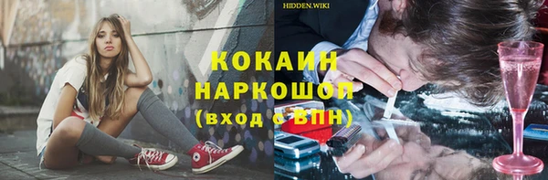 шишки Кукмор