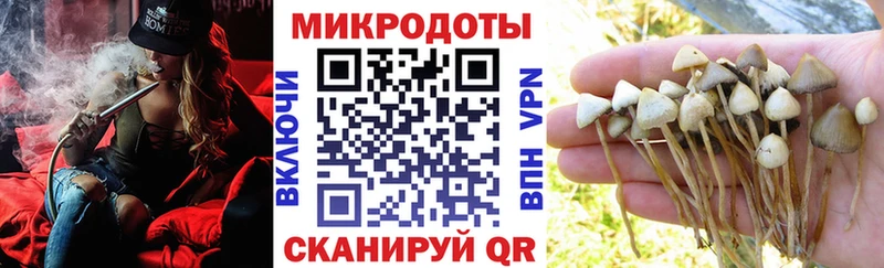 Галлюциногенные грибы ЛСД  Миньяр 